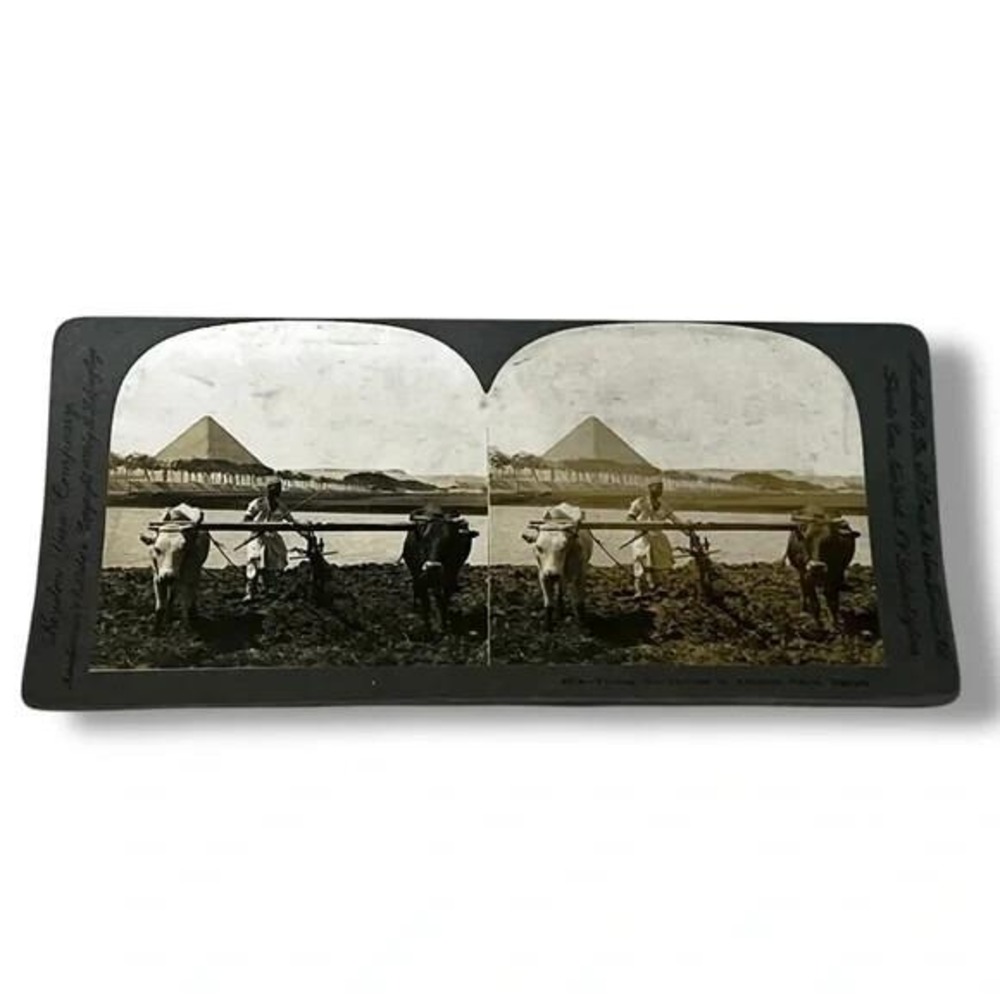 Stereoview Tilling the Soil as in Ancient Days Egypt c1899 DBX
